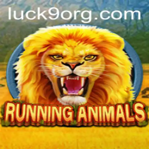 Luck9 Casino App